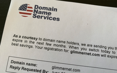 Is Domain Name Services a Scam?