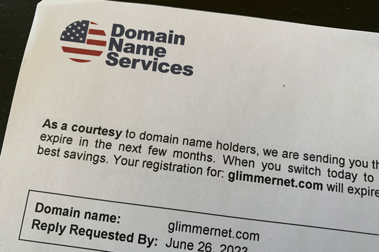 Domain Name Services Scam Invoice